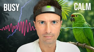 Control the Music with Your Thoughts -  Muse S Athena Review