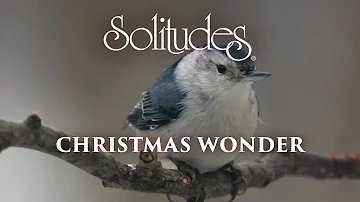 Dan Gibson’s Solitudes - O Little Town of Bethlehem | Christmas Wonder