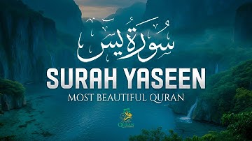 Surah Yaseen (Yasin) سورة يس | Ultimate Relaxing Quran Will Touch Your Heart إن شاء الله #surahyasin