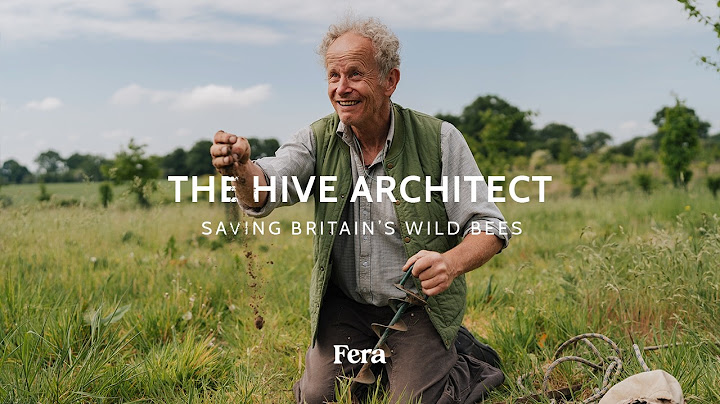 The Hive Architect | Saving Britain's Wild Bees