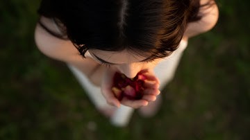 Am I Real | Music Video