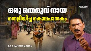 Body parts found in 19 places within 5 kilometers..| BS CHANDRA MOHAN |MLIFE DAILY