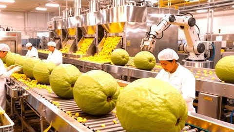 Inside the $2.4 Billion Guava Juice Industry: The Secret Process Behind Premium Tropical Juice