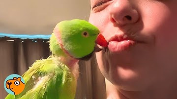 Bird Sings Like An Old Lady Every Day! | 5 Best Stories