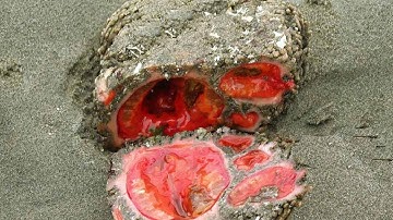 10 ความรู้นอกห้องเรียน ที่คุณอาจไม่เคยรู้มาก่อนเลยก็ได้