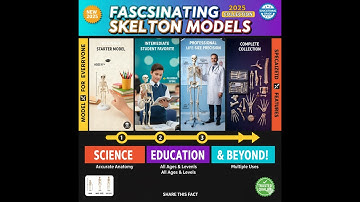 Fascinerende skeletmodellen 2025 – Wetenschap, onderwijs en meer!