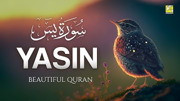 Surah Yasin (Yaseen) سورة يس | This MARVELOUS Voice will TOUCH Your HEART إن شاء الله | Zikrullah TV