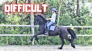 Difficult Saly. I explain how I ride her. And lunging Rising Star⭐ | Friesian Horses