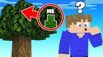 Using CHEATS In Minecraft Shapeshift Hide & Seek