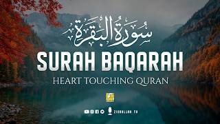 Surah Al Baqarah Full سورة البقره | Ultimate Relaxing Heart Soothing Quran | Zikrullah TV