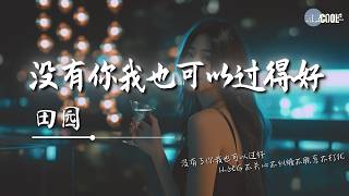 田园 - 没有你我也可以过得好「我不是没人追没人撩没人爱没人要」【🎧AI高质音乐/拼音动态歌词 Lyrics】#coolsong酷歌