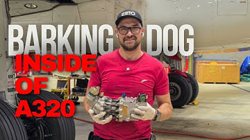 Power Transfer Unit or barking dog, what is it and how it works