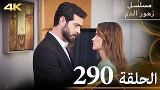 الحلقة 290 | مسلسل زهور الدم | مدبلج بالعربية | Kan Çiçekleri | جودة 4K