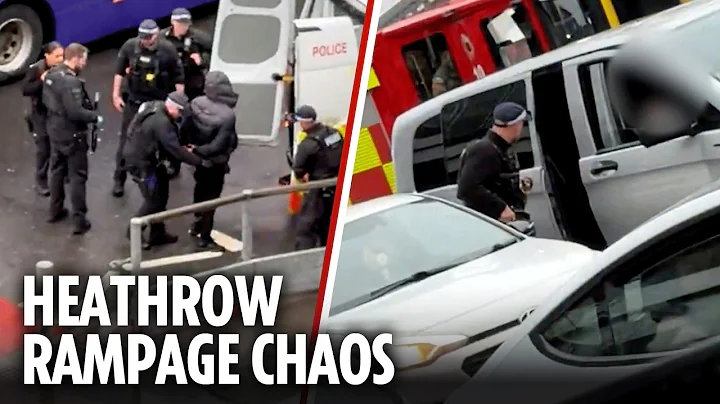 More than 20 injured in Heathrow Airport pepper spray attack as armed cops arrest man