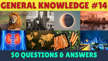 50 EASY General Knowledge Quiz Questions Everyone Should Know! (Basic Level)