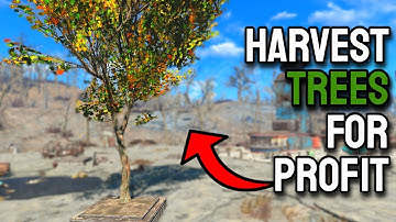 I Started A Lumber Business In Fallout 4