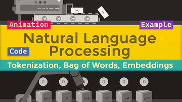 Your Starting Point in Natural Language Processing (NLP):  Tokenization, Bag of Words & Embeddings