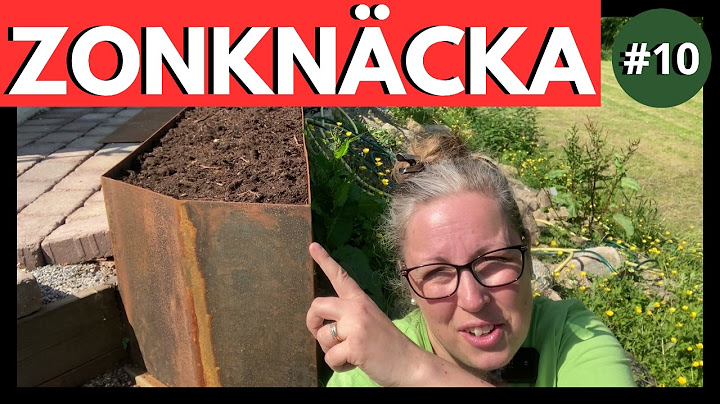 ZONKNÄCK – Bygg en Upphöjd Rabatt + MAGISKT FÅGELBAD av Loppisfynd! #10