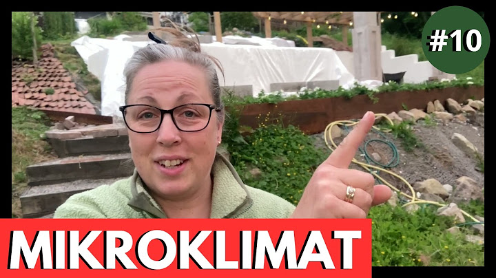 ZONKNÄCK – Bygg en Upphöjd Rabatt + MAGISKT FÅGELBAD av Loppisfynd! #10