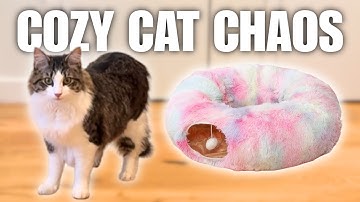 ADORABLE cats play in HIPIPET Winter Plush Cat Tunnel | amazon cat find