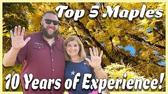 10 Years of Collecting Japanese Maples | Lynn's Top 5 on the MrMaple Show