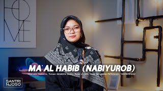 MA'AL HABIB / NABIYUROB - COVER SANTRI NJOSO