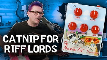 What Happens When You Give a RAT Pedal Catnip? 🐱⚡️