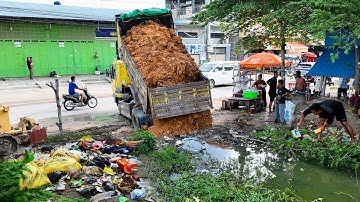 Starting a New Landfill Project! Delete Flooded Garbage Using Dozer D20A with 5Ton Truck Unloading