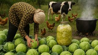 HARVESTİNG CABBAGE - Making Sweet Cabbage Dolma & Homemade Pickles