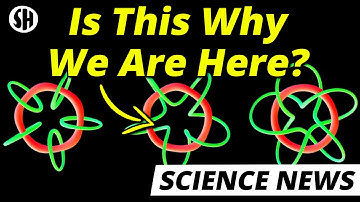 Was The Early Universe Filled With Quantum Knots?