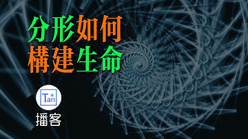 從數學怪獸到生命密碼：分形如何構建生命