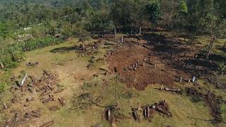 The phallic megaliths of Ethiopia