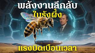 ถอดรหัส CSE ทฤษฎีเปลี่ยนโลกที่ถูกลืม