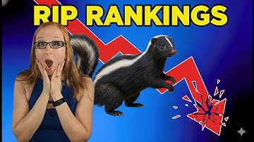 I Lost Rankings Because of a SKUNK PHOTO! (Local SEO Lessons 2026)