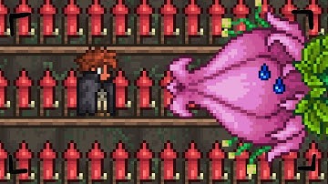 Ridiculous Arenas in Terraria That Work GREAT!