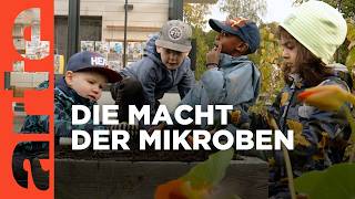 Die Macht der Mikroben | Doku HD | ARTE