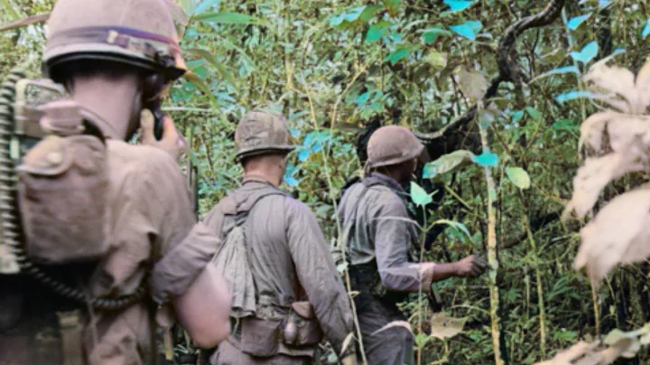 Top 10 Deadliest Animals US Soldiers Faced in Vietnam