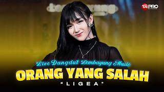 ORANG YANG SALAH - LIGEA (LIVE DANGDUT LEMBAYUNG MUSIC) | Gayung tak bersambut