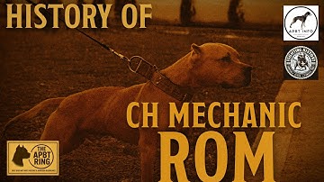 Het verhaal van PIT STOP CH MECHANIC 4XW ROM 🏆 Pitbull Geschiedenis & GameDog Legende