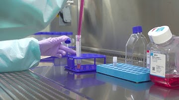 Thawing Cells: Cell Culture Basics