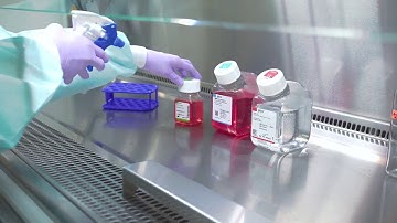 Thawing Cells: Cell Culture Basics