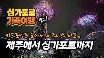 카드포인트 몇년간 모아서 비즈니스 타봤습니다 | 싱가포르여행 ep1 차이나타운