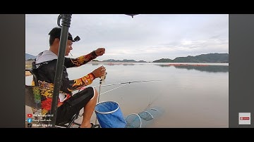 Hồ này toàn mè vinh bự giật sướng tây !!!