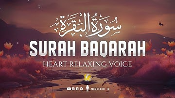 Surah AL BAQARAH Full (سورة البقره) ULTIMATE HEART RELAXING VOICE | Zikrullah TV