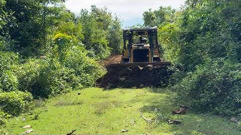 Forest Road Opening Using CAT D6R XL Bulldozer Technique That Will Blow Your Mind!
