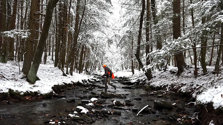 HUNTING DEER 2025 Pennsylvania Rifle Season How To SNEAK UP ON Whitetails Tips Strategies BIG WOODS