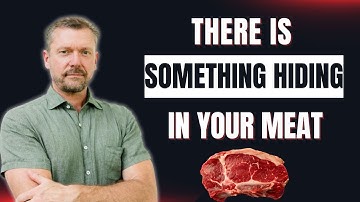 Hidden "Fiber" in the Carnivore Diet! (Gut Bacteria Food in Meat) 2025