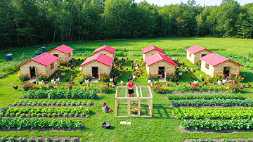 TIMELAPSE – 30 Days Building a Chicken Coop | DIY Chicken Coop Build Step by Step