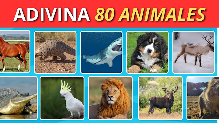 ¡Solo un GENIO adivina estos animales por una imagen! | CogniQuiz