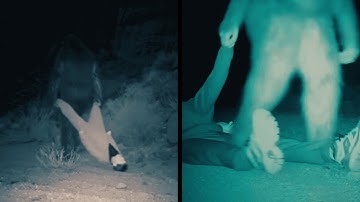 Meer dan 1000 wandelaars verdwijnen – Trailcam betrapt Bigfoot terwijl hij lijken sleept! | Het h...